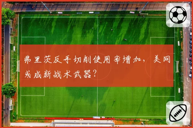 弗里茨反手切削使用率增加，美网或成新战术武器？